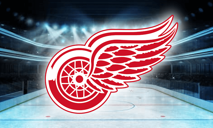 Detroit Red Wings, Logo